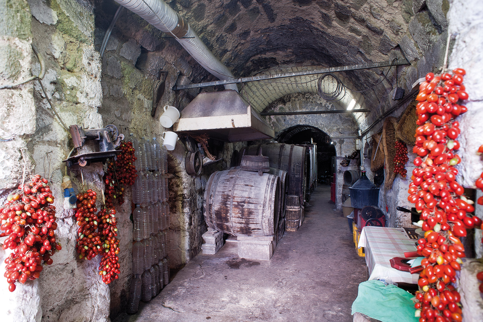 Cantina Morzariello