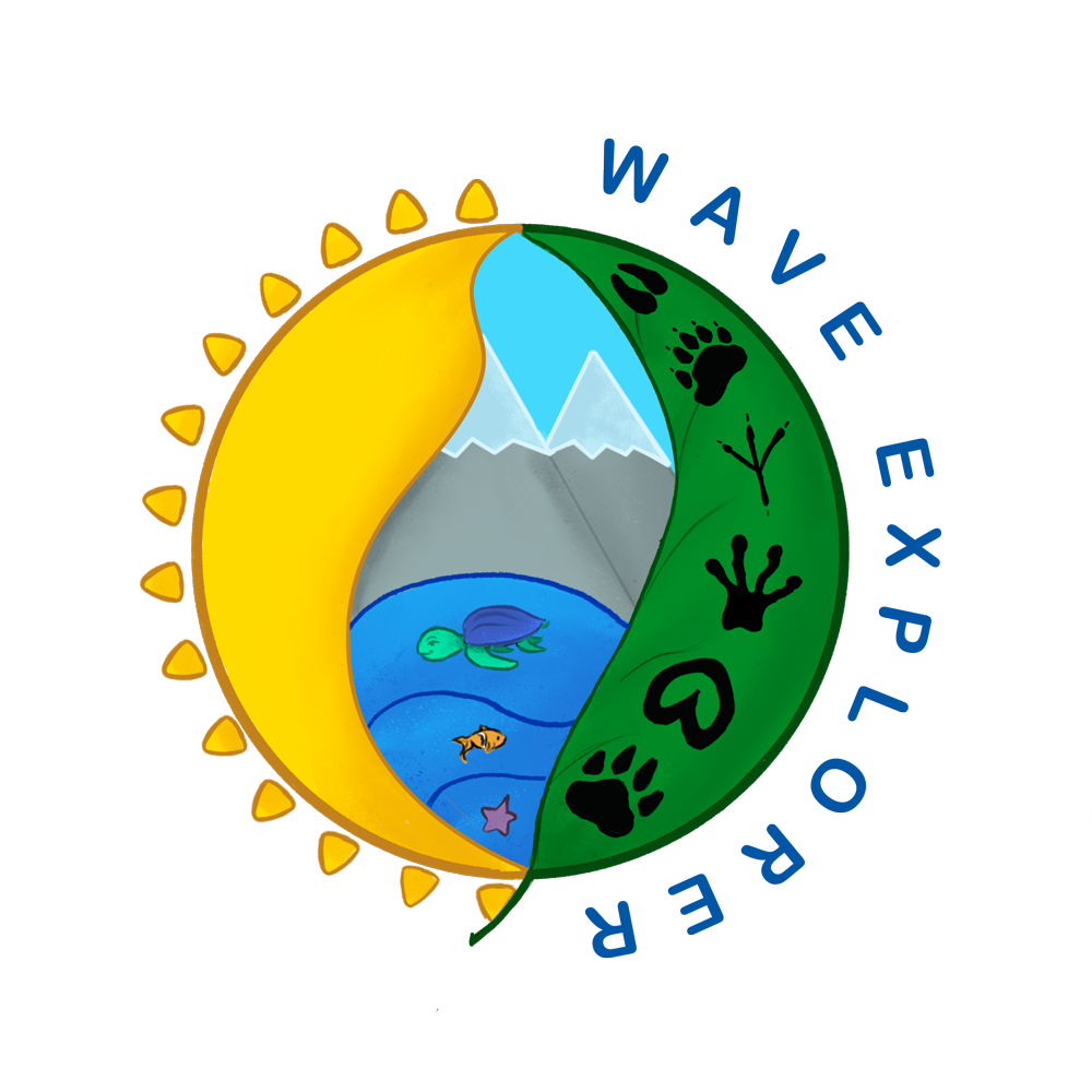 wave explorer logo