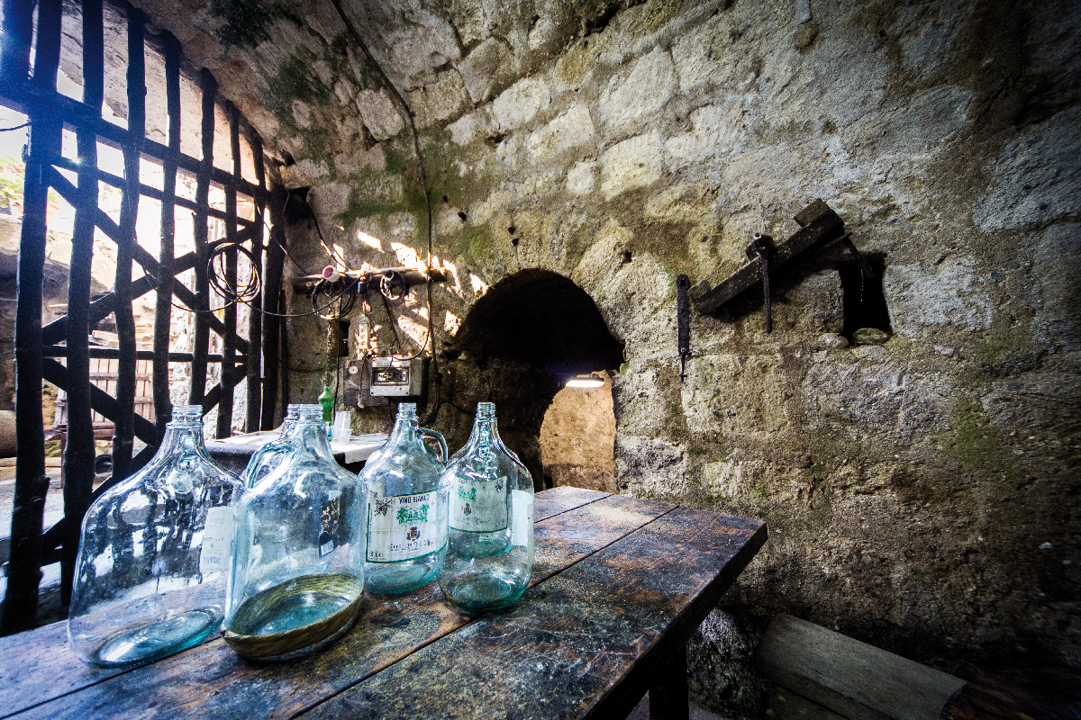 Percorsi Andar per cantine 2019 - Percorso Frassitelli