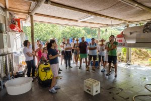 Andar per cantine 2015
