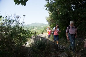 Andar per cantine 2015