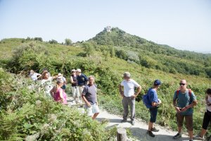 Andar per cantine 2015