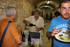 Andar per cantine 2010