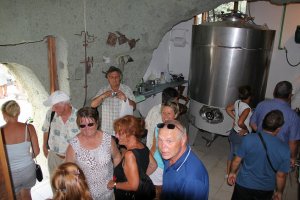 Andar per cantine 2011