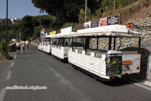 Andar per cantine 2014