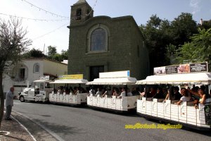 Andar per cantine 2014