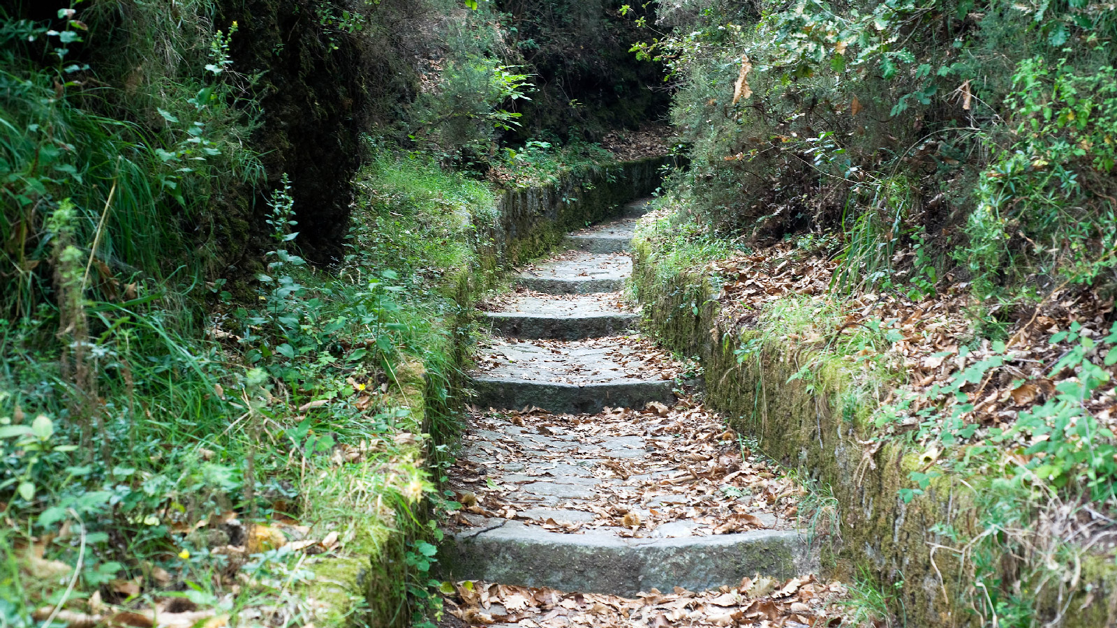 Sentiero di Fiaiano Buonopane