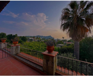 Agrihotel Il vitigno