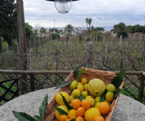 Agrihotel Il vitigno