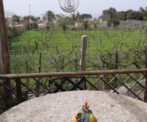 Agrihotel Il vitigno